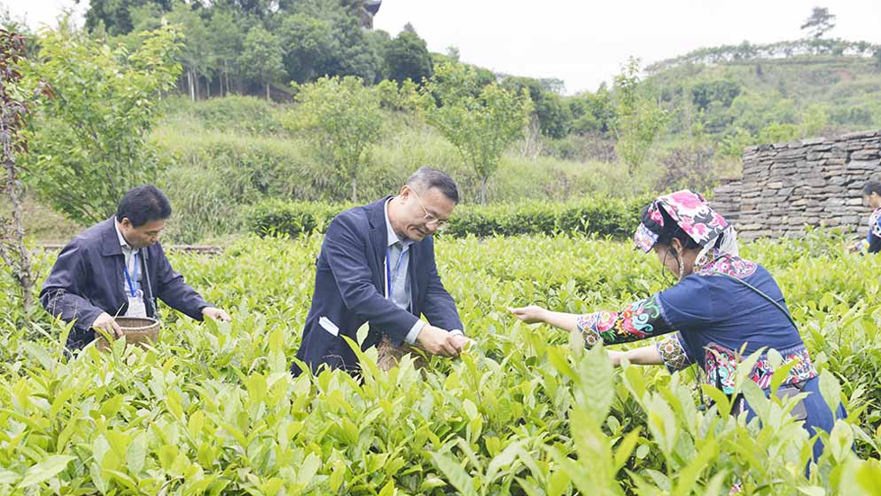 海外華文媒體聚焦山西萬榮：挖掘黃河文化 傳承農(nóng)耕文明